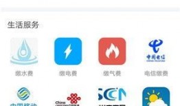 大众爆料视频最新下载,下载背后的惊人真相